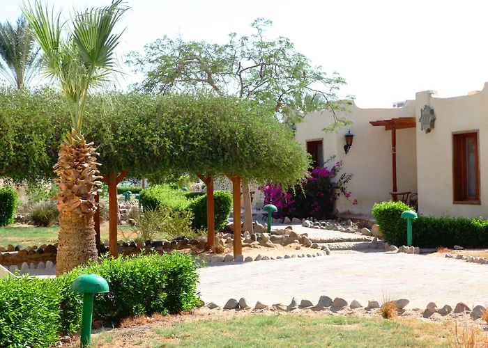 Magawish Swiss 4* Hurghada