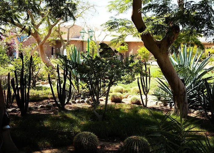 Resort Magawish Swiss 4*